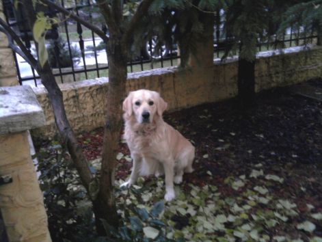fenykep0214.jpg