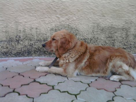 fenykep0219.jpg